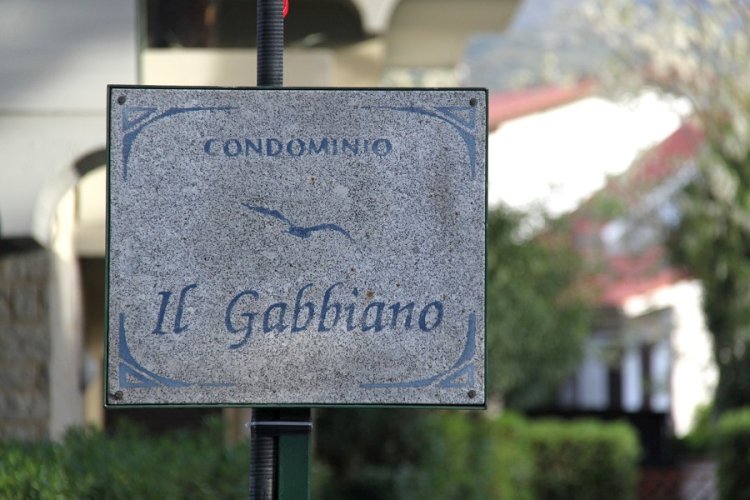 Il Gabbiano Primo piano